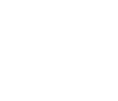 UN Industrial Development Organization logo